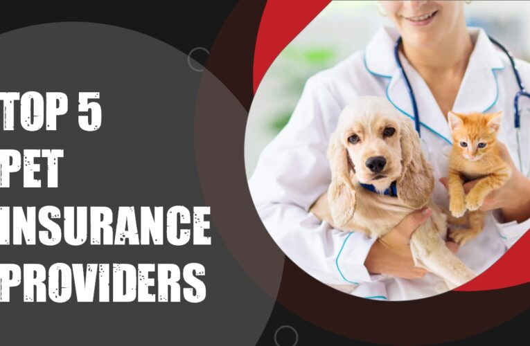 Top 5 Pet Insurance Providers in the UK: A Detailed Guide for Pet Owners kenocredits.com